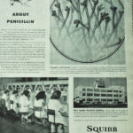 Penicillin-ad-in-LIFE-700-brighter