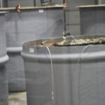 Cosmosphere parts in water 1000