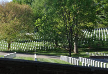 Memorial Day: Honoring Heroes