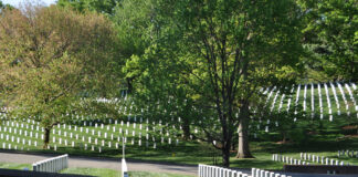 Memorial Day: Honoring Heroes