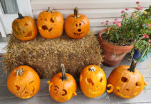 Beta-Carotene: a Pumpkin Power Pigment