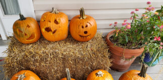 Beta-Carotene: a Pumpkin Power Pigment