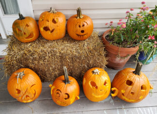 Beta-Carotene: a Pumpkin Power Pigment